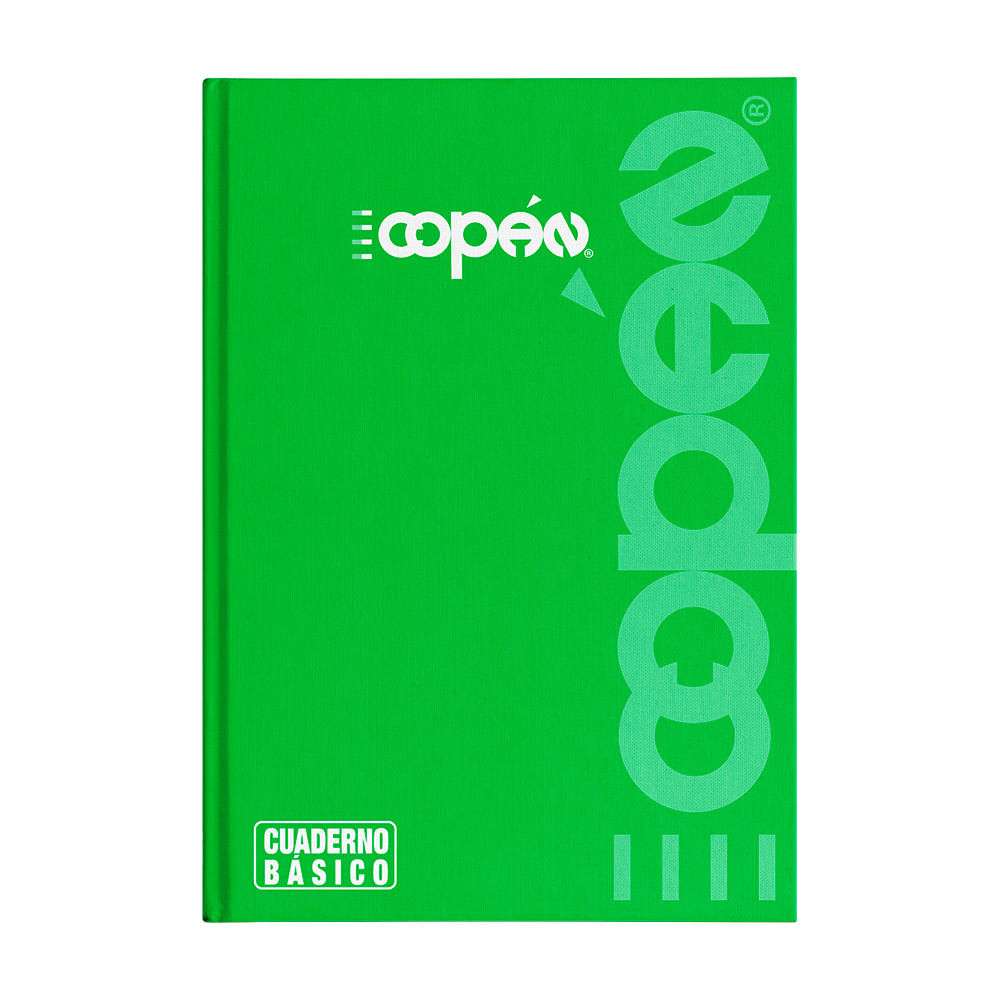CUADERNO COSIDO 100HJS COLORES D.RAYA