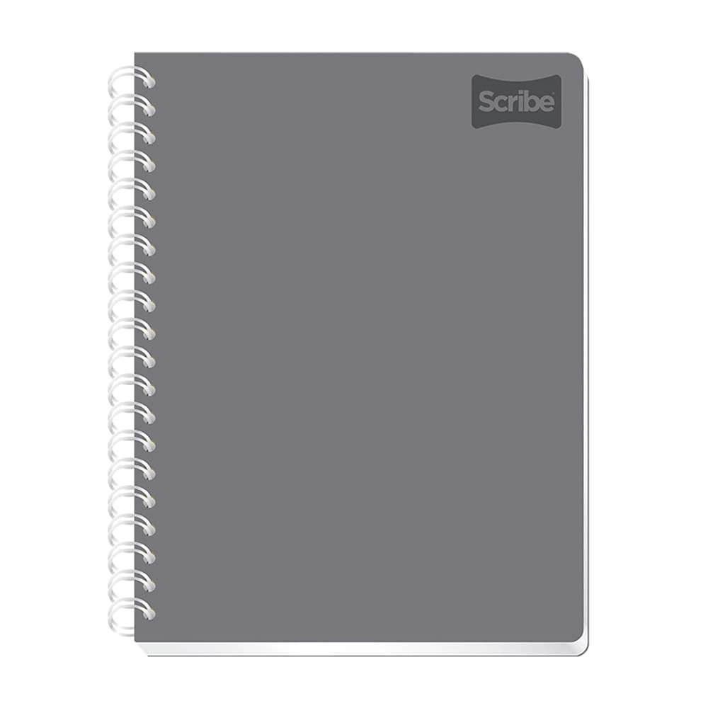 CUADERNO EDO PRO RAY 100H POLYCOVER 24P