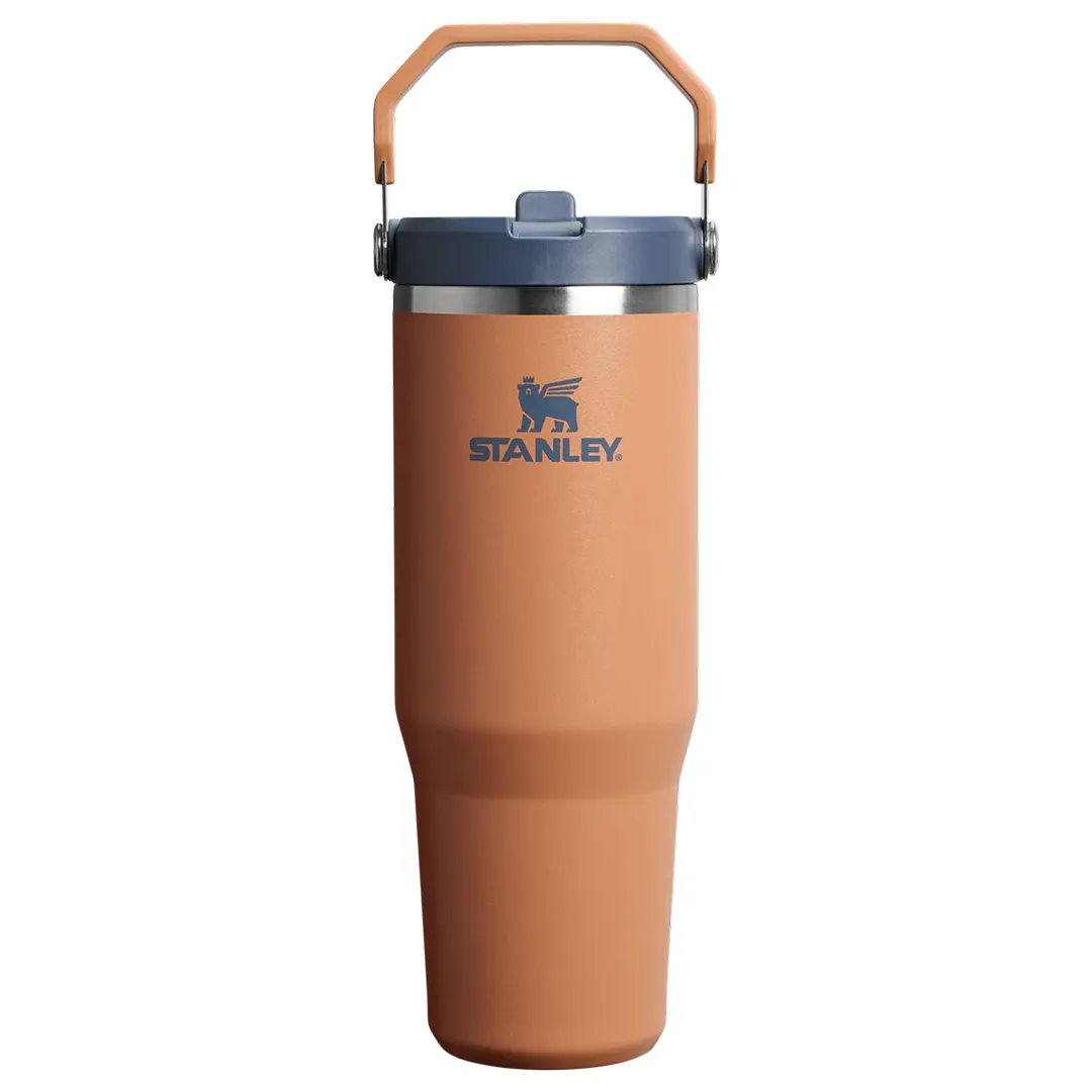 BOTELLA STAN 30OZ ICE FLPSTRW TOAST