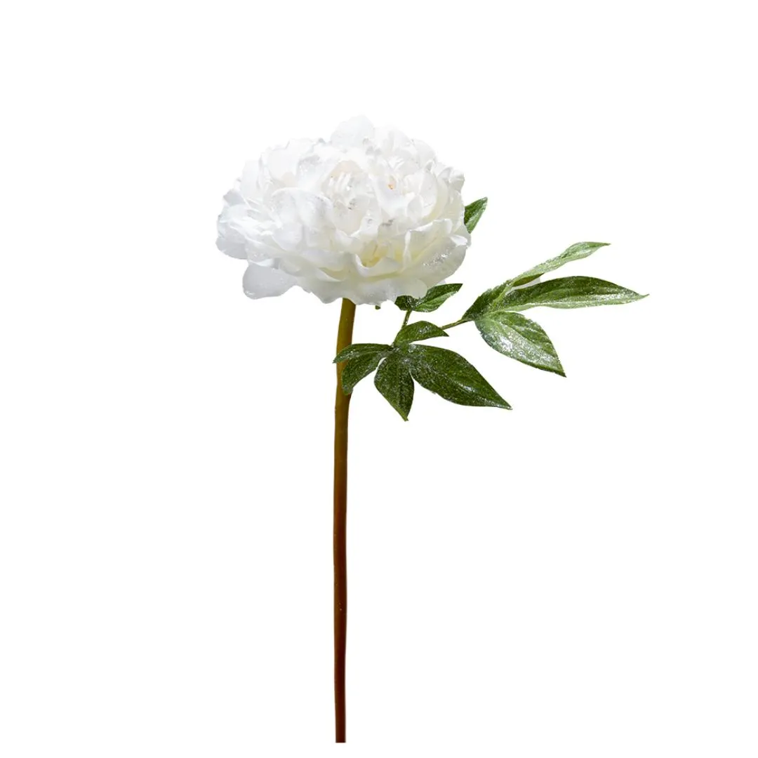 PEONY 22" ESCAR RJO