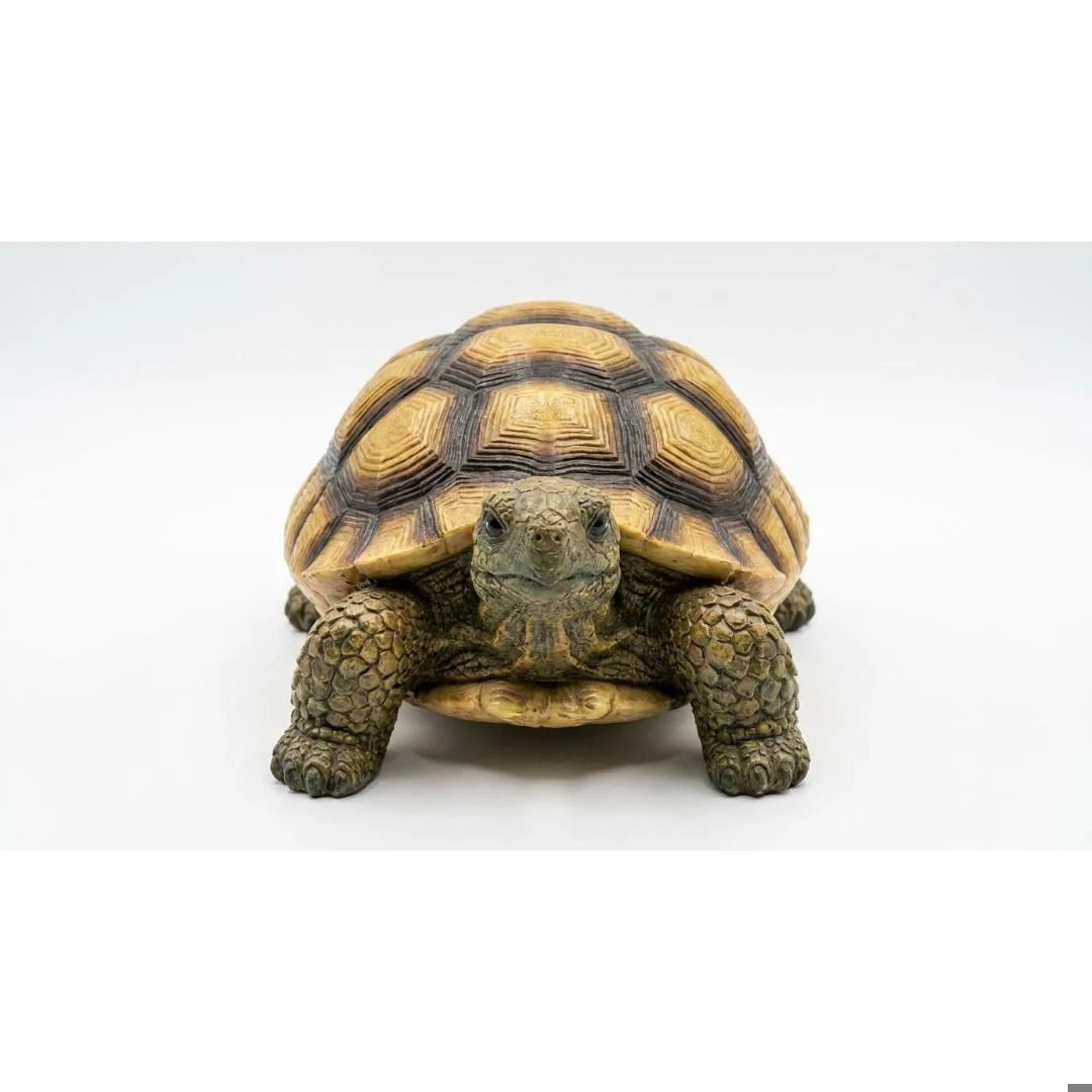 ADORNO JARDIN TORTUGA