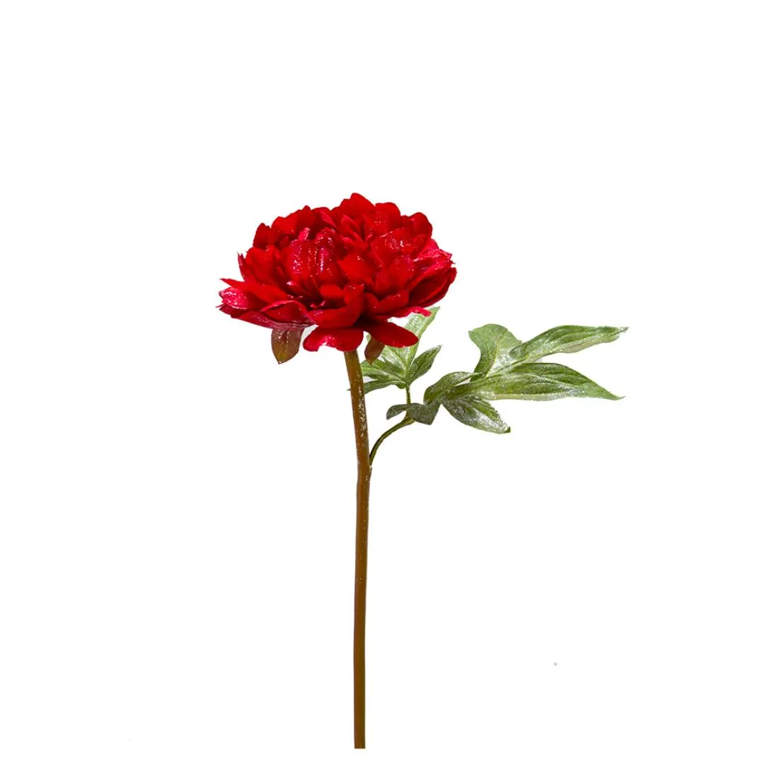 PEONY 22" ESCAR RJO